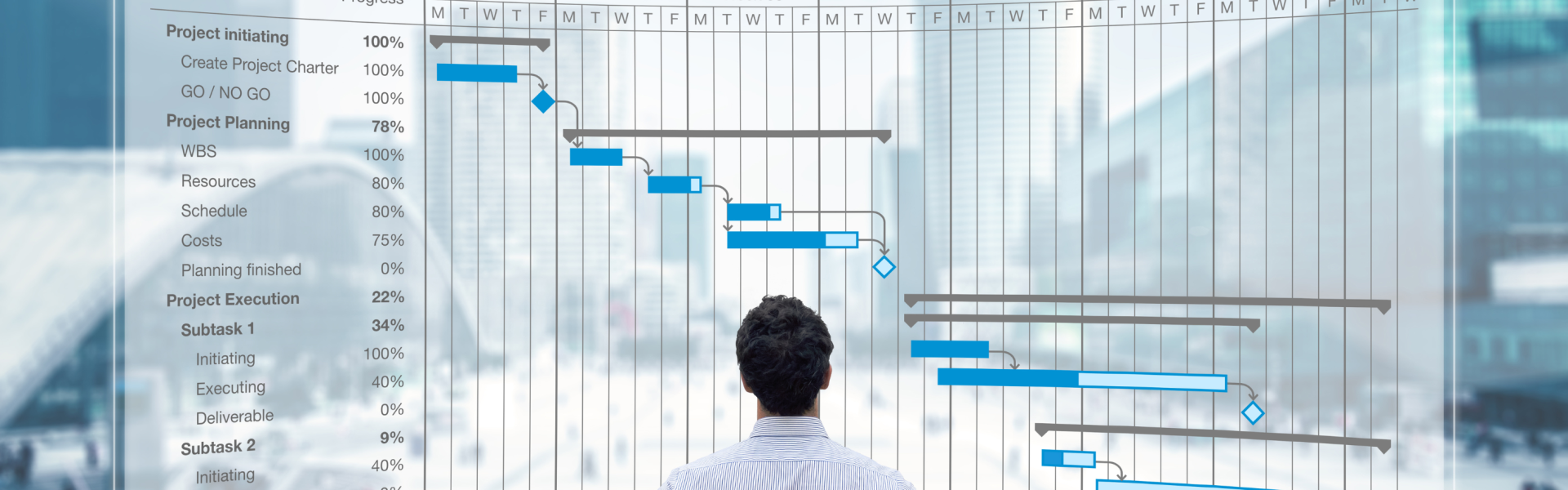 PMP PMP project management professional